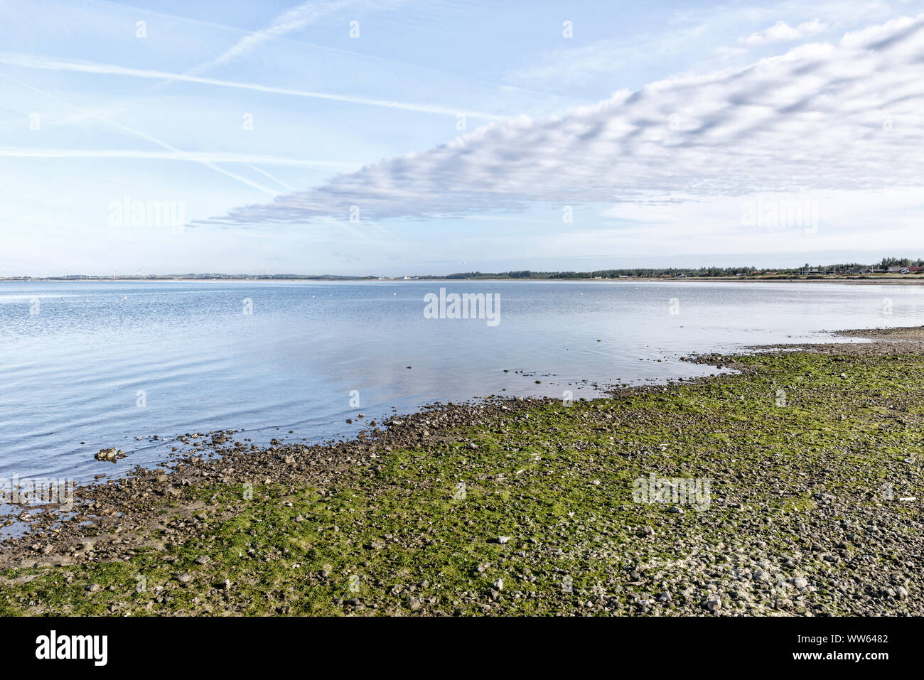 Vista sul mare dalla riva sul BjÃ¶rnsholm Limfjorden bay in Danimarca Foto Stock