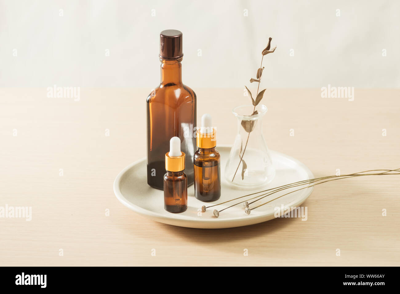 Naturale per la cura della pelle, organico a base di erbe prodotto di bellezza scoperta presso il laboratorio di scienze, Foto Stock