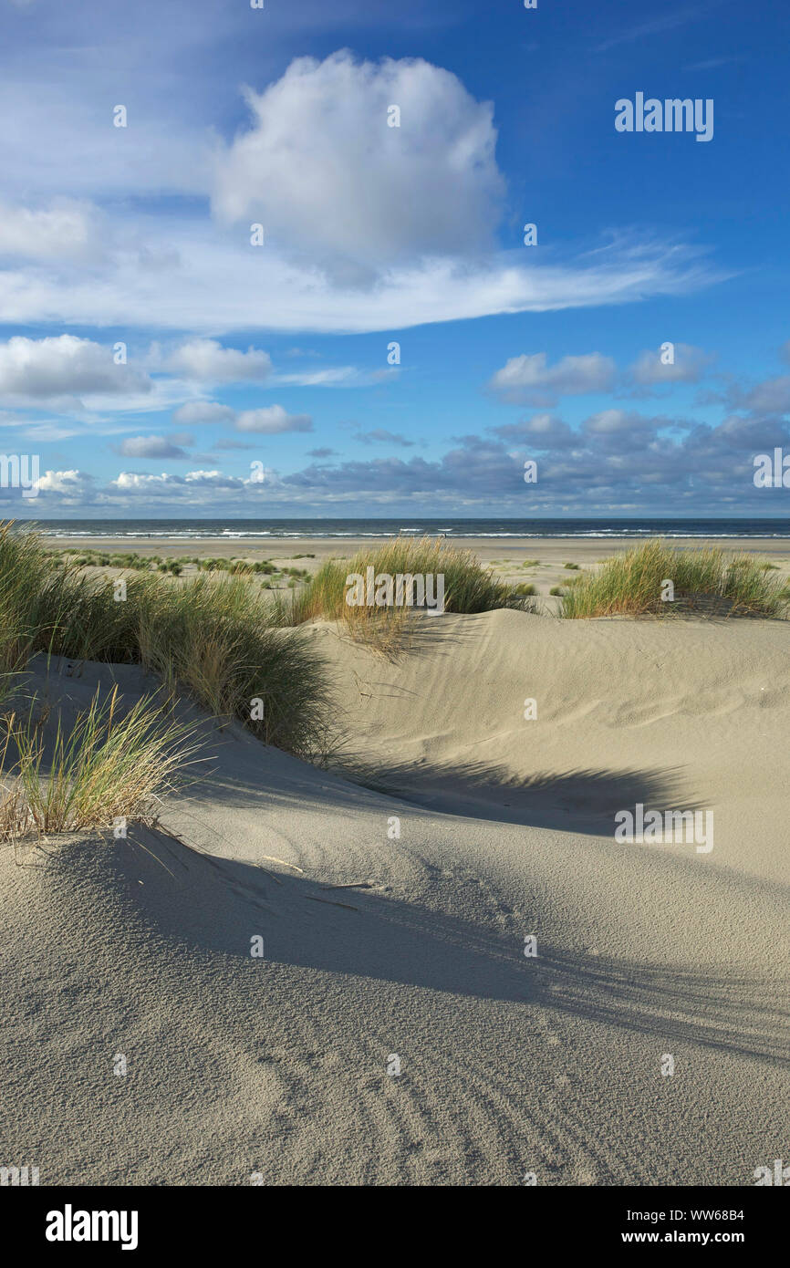 La spiaggia e le dune del Mare del Nord isola Juist. Foto Stock