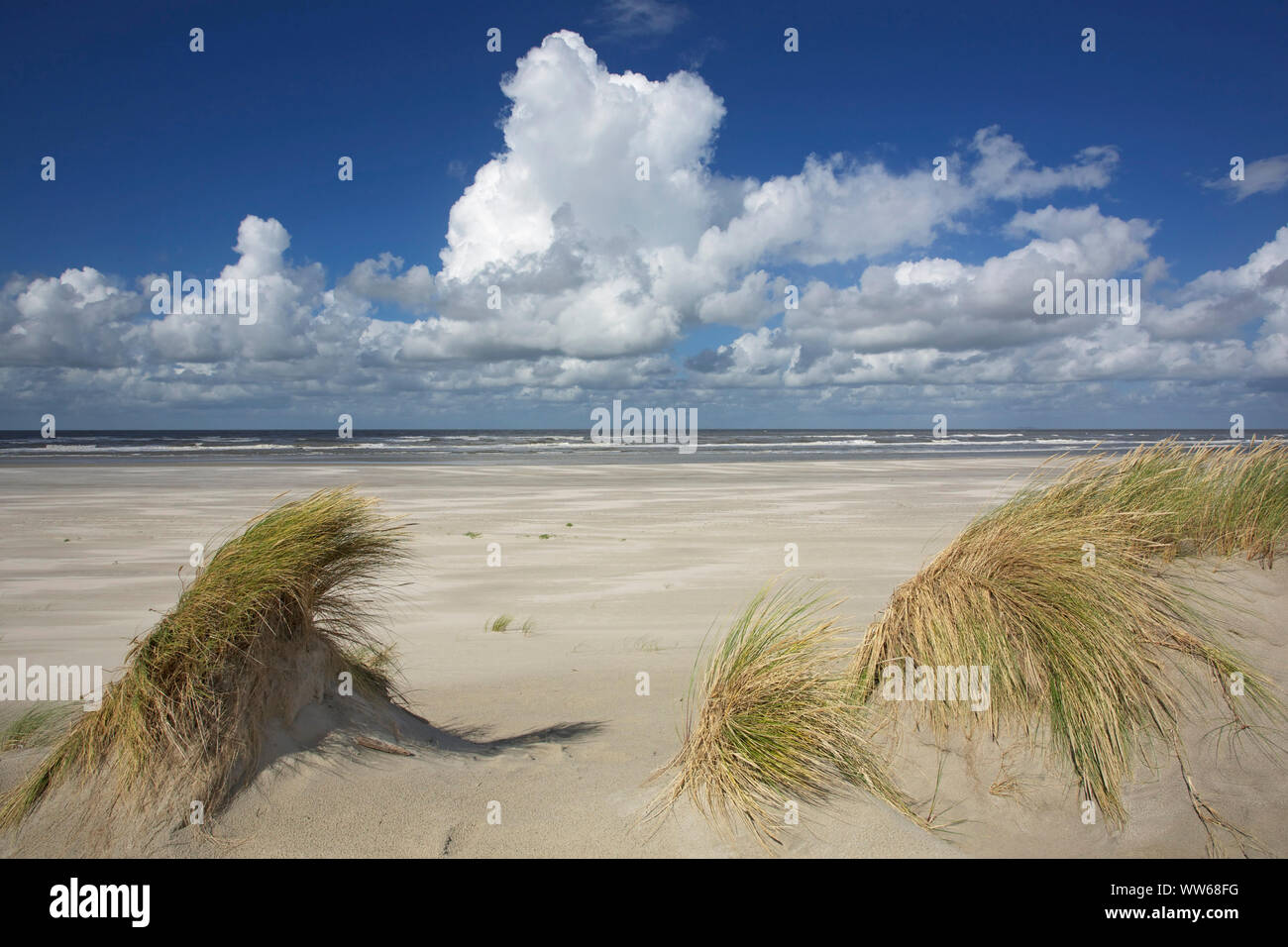 Cumulus nuvole sopra la spiaggia del nord dell'isola Langeoog. Foto Stock