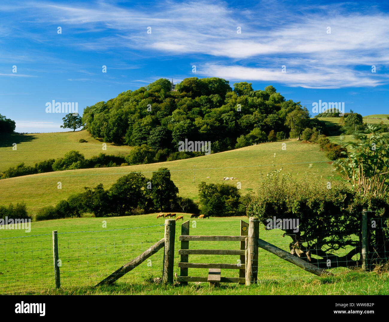 Modo Clwydian National Trail su e pendii della valle di Clwyd con la Madonna Addolorata cappella rupestre sul colle a posteriori: parte di San Beuno ignaziana del Centro. Foto Stock