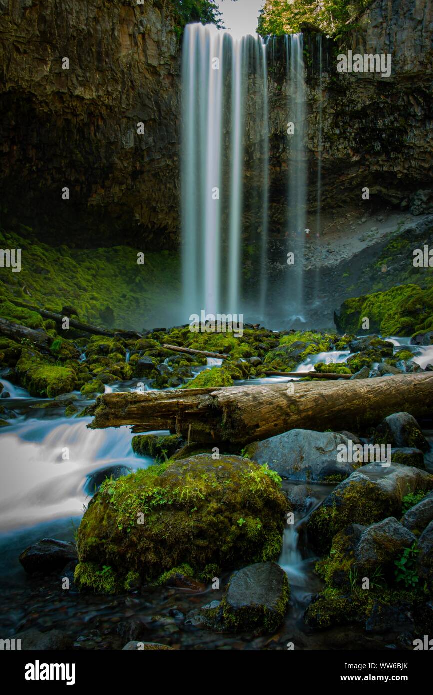 Close-up di una cascata in una foresta, Oregon, Stati Uniti Foto Stock