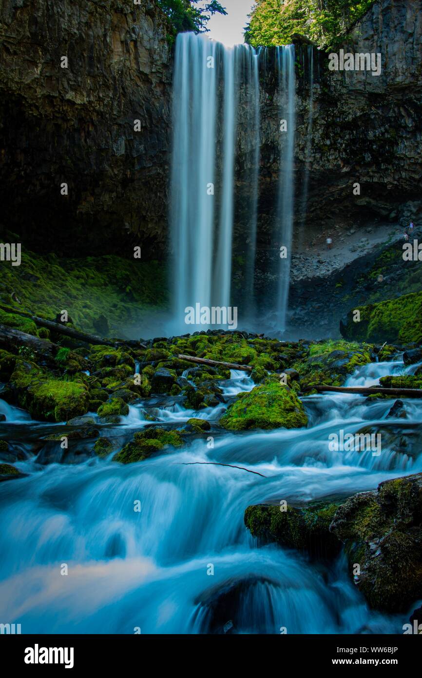 Close-up di una cascata in una foresta, Oregon, Stati Uniti Foto Stock