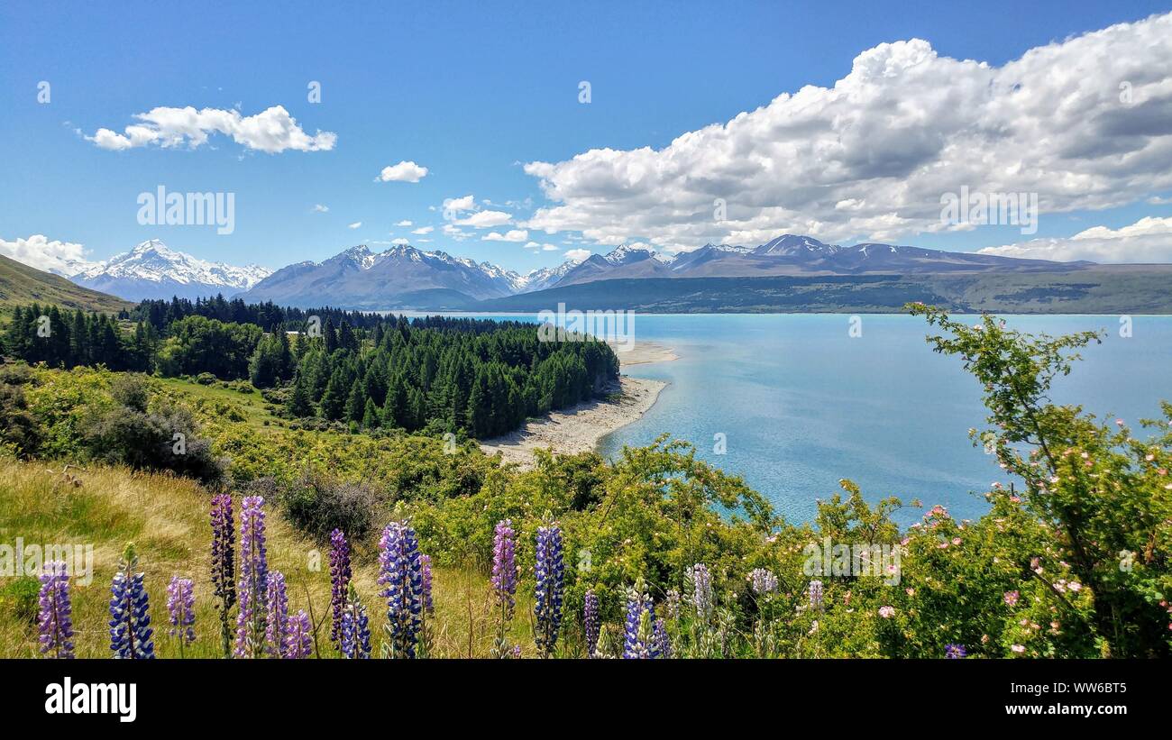 L'acqua turchese con montagne innevate all'orizzonte, Nuova Zelanda Foto Stock