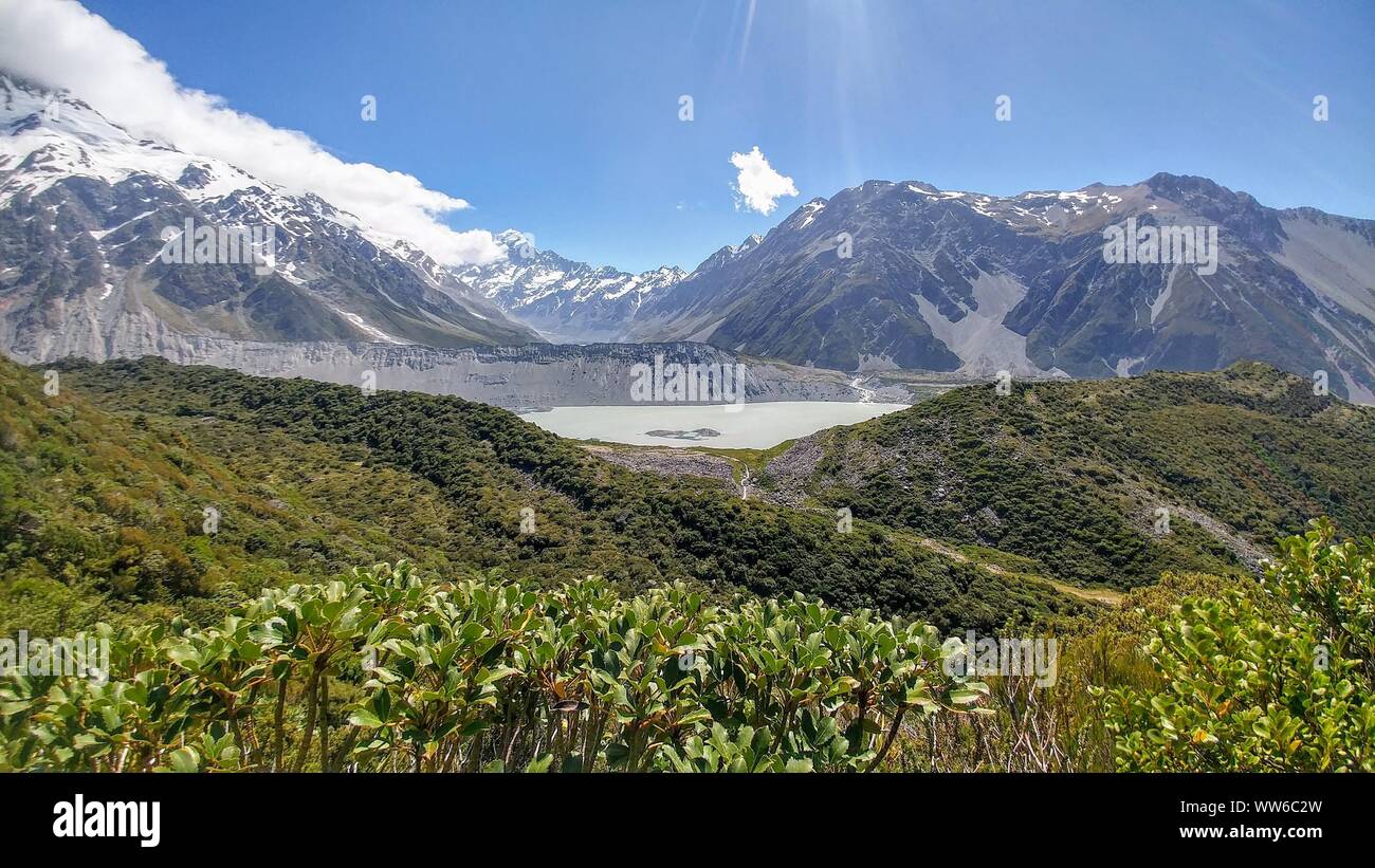 Lago di ghiacciai e montagne innevate sullo sfondo verde, alberi e cespugli in primo piano Foto Stock