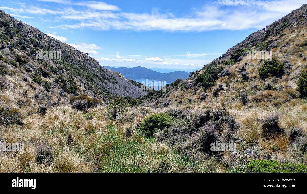 Vista del lago all'orizzonte e boccole a secco in primo piano, Tongariro Crossing in Nuova Zelanda Foto Stock
