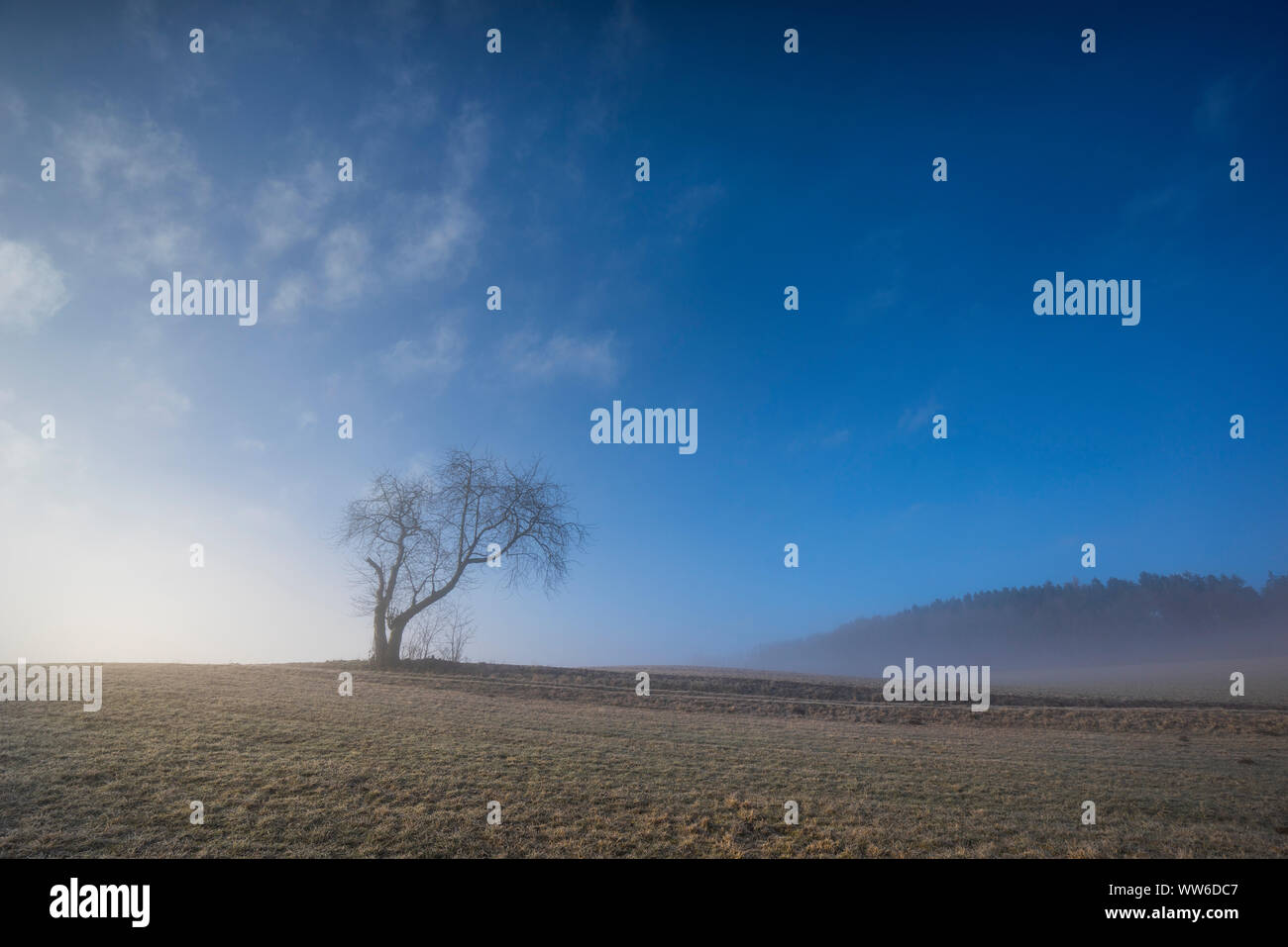 Sunrise con fuoriuscite di velatura su un campo Foto Stock