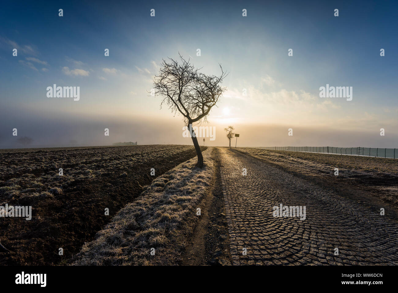 Sunrise su un campo con fuoriuscite di nebbia Foto Stock