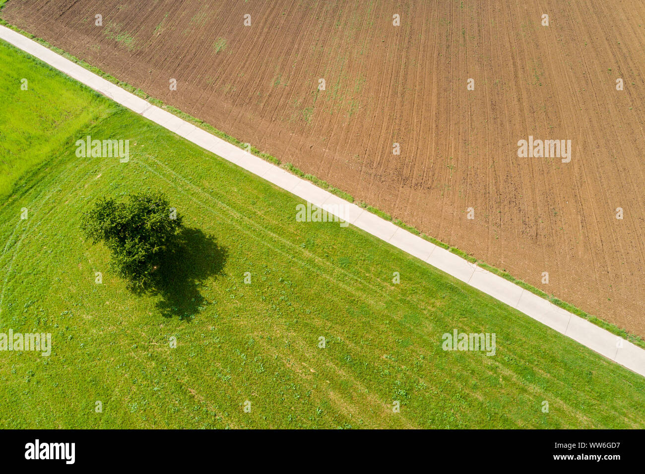 Fotografia aerea della zona agricola, Schurwald, Ostalb, Baden WÃ¼rttemberg, Germania Foto Stock