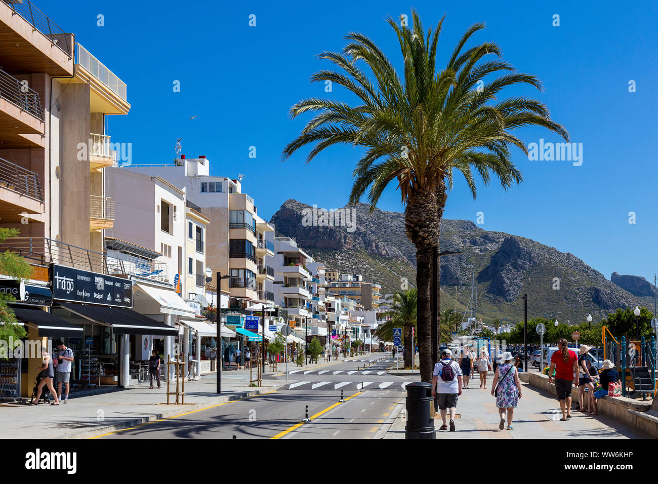 Port de Pollenca, nordest dell'isola di Mallorca, Mare mediterraneo, Isole Baleari, Spagna, Europa meridionale Foto Stock