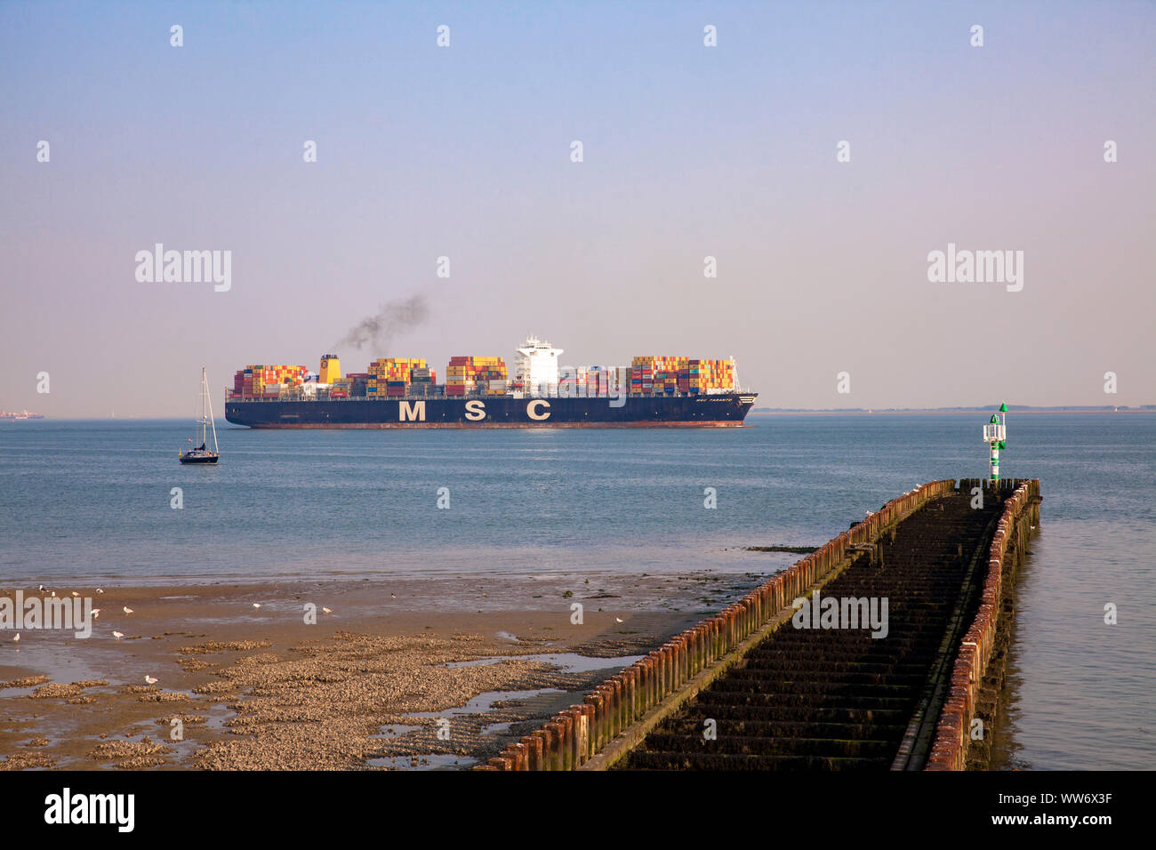 Contenitore nave sulla Schelda occidentale al largo della costa di Vlissingen, Walcheren, Zeeland, Paesi Bassi. Containerschiff auf der Westerschelde vor Vlissin Foto Stock