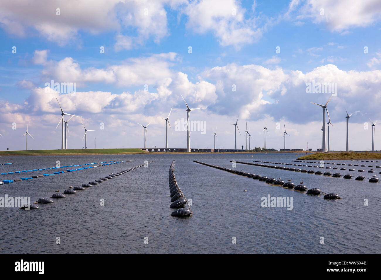 Allevamento di shell e mulini a vento al Lago Grevelingen vicino a Bruinisse, Schouwen-Duiveland, Zeeland, Paesi Bassi. Muschelzucht und Windraeder am Grevelingen Foto Stock