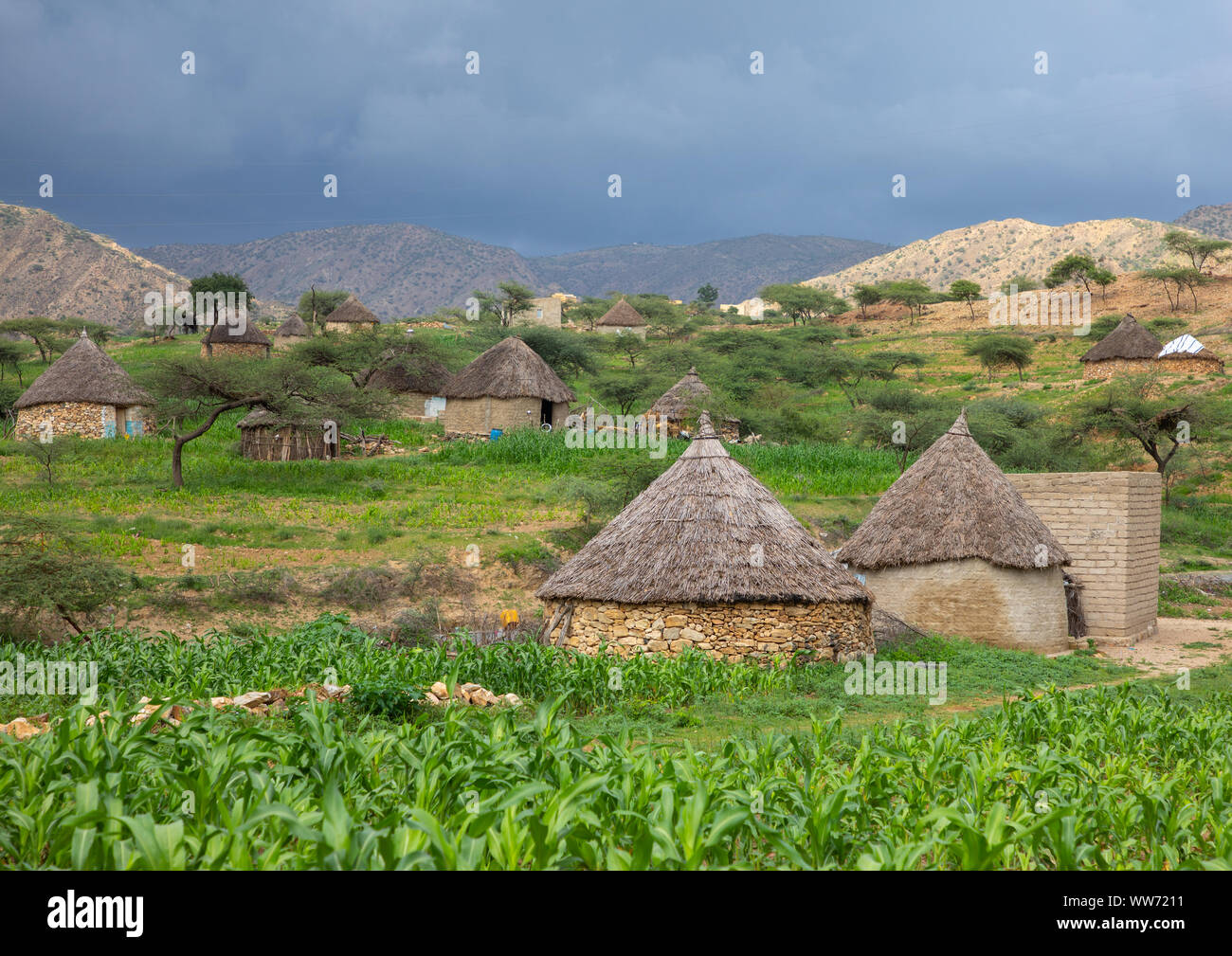 Bilen villaggio con tetti di paglia, Semien-Keih-Bahri, Elabered, Eritrea Foto Stock