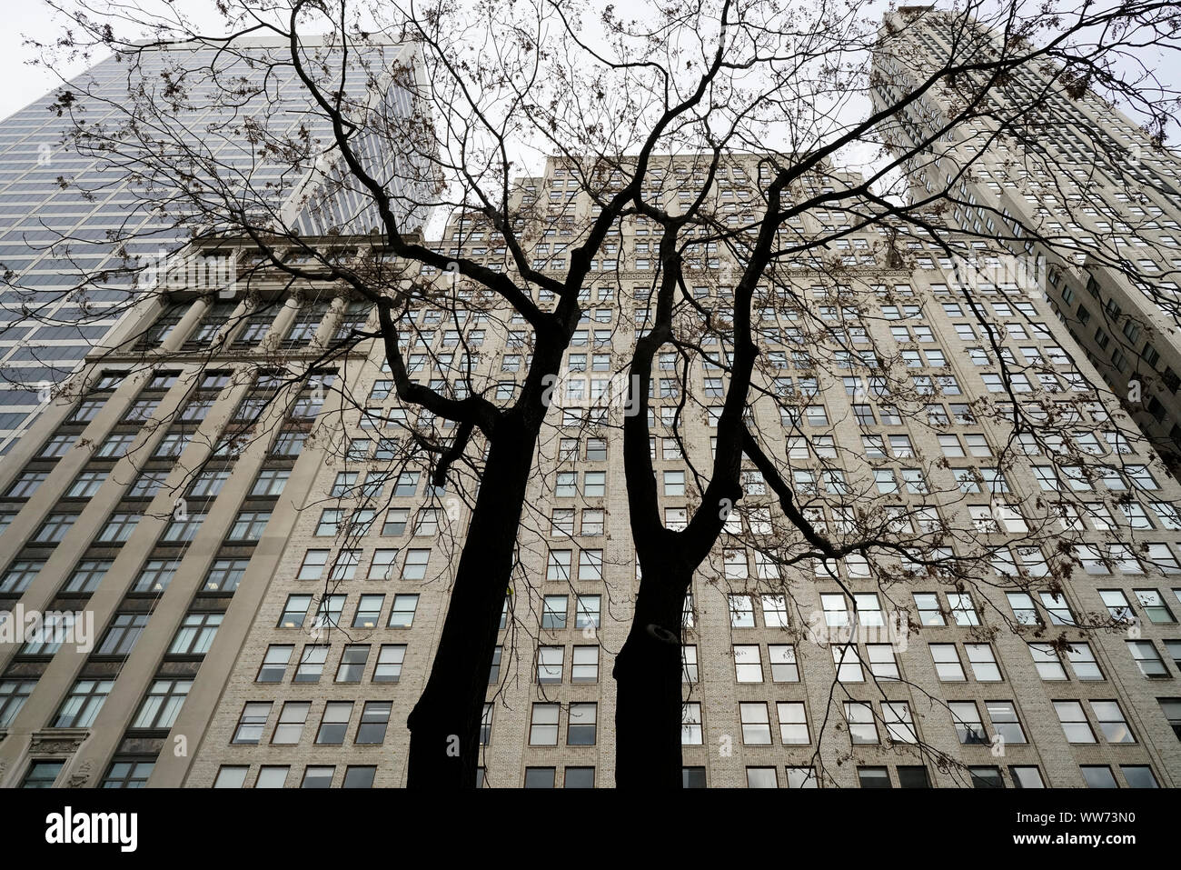 Gli alberi di fronte al Metropolitan Life Insurance Company Tower, noto come il Met Life Torre (a destra), e la vita metropolitana nord edificio, noto come undici Madison (sinistra). Flatiron District, Madison Square Park, Manhattan, New York, New York, Stati Uniti d'America Foto Stock