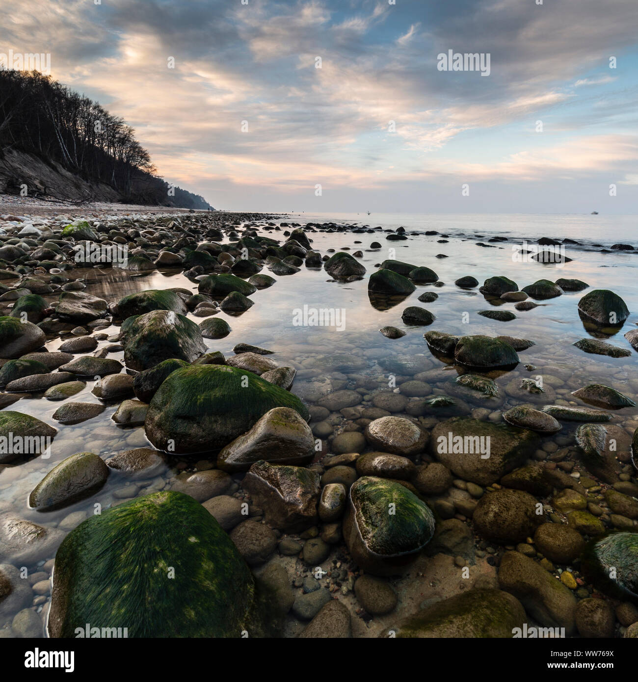 L'Europa, la Polonia, la Pomerania, Rozewie Cap / RixhÃ¶ft beach, pietre Foto Stock