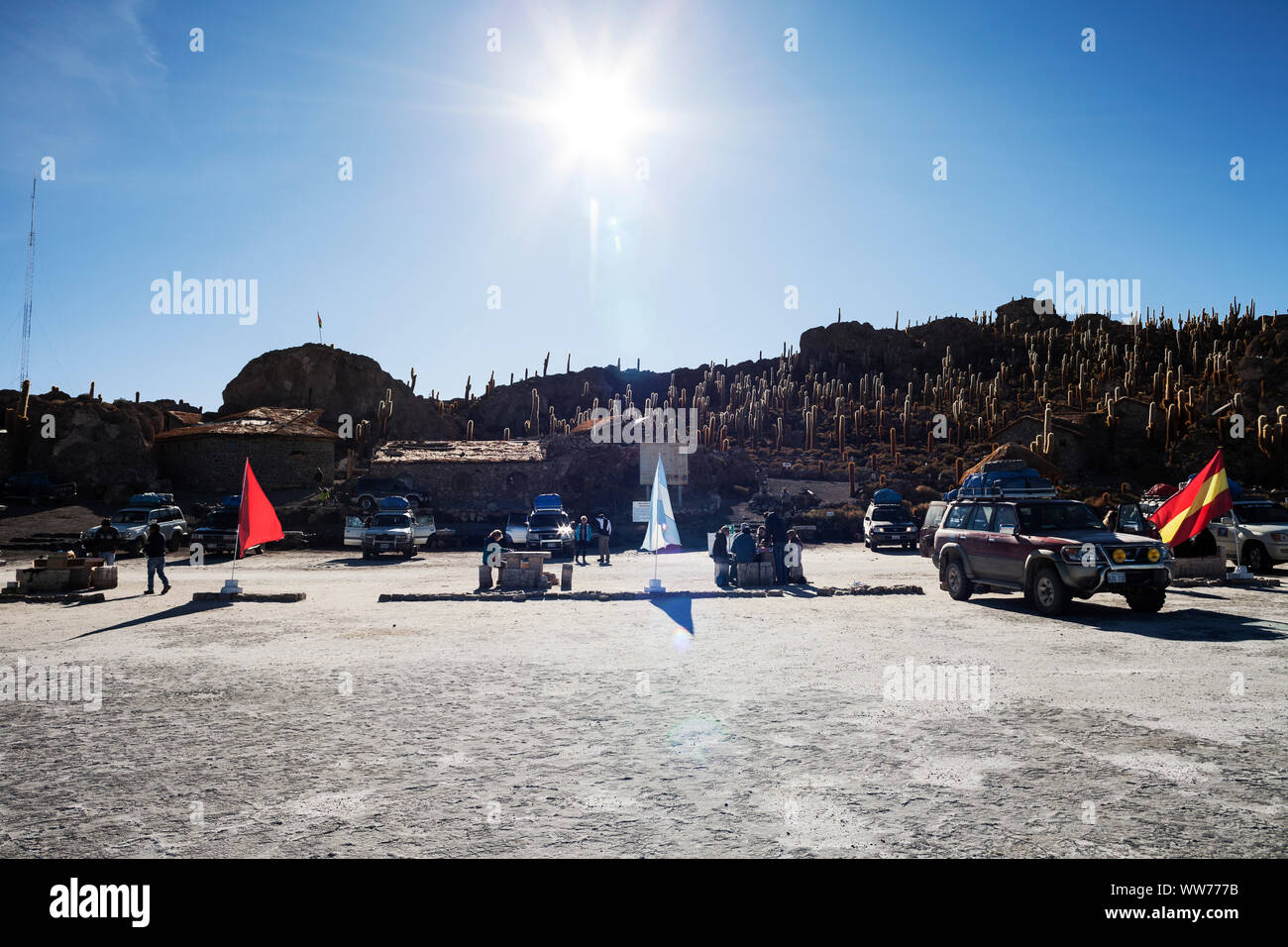 Bolivia, Uyuni, Salar de Uyuni distesa di sale, Isla Incahuasi, i turisti con i SUV Foto Stock