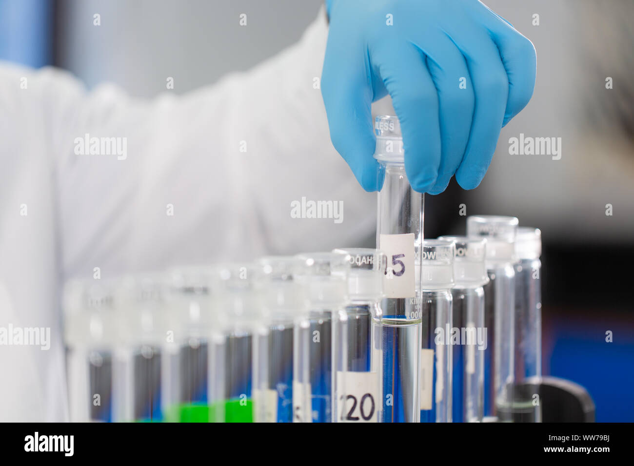 Scienziato che manipola provette per analisi della qualità dell'acqua in un laboratorio di trattamento a Tampa, Florida. Foto Stock