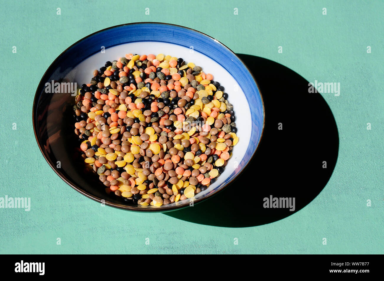 Lenticchie, ciotola di lenticchie, vari colori, shell, sfondo verde, legumi, Foto Stock
