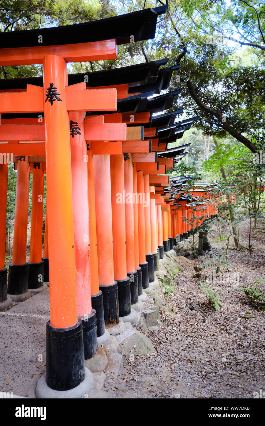 Kyoto / Giappone - 7 Agosto 2019: molti vermillion Torii gates di Fushimi-inari Taisha nella zona sud ovest di Kyoto. Foto Stock