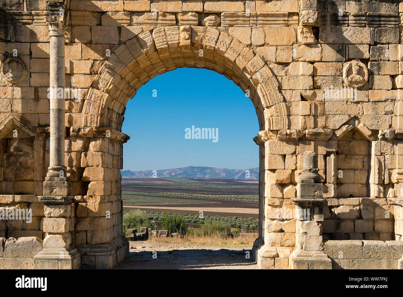 Il Marocco, Volubilis, Arc de Triomphe, gli oliveti Foto Stock