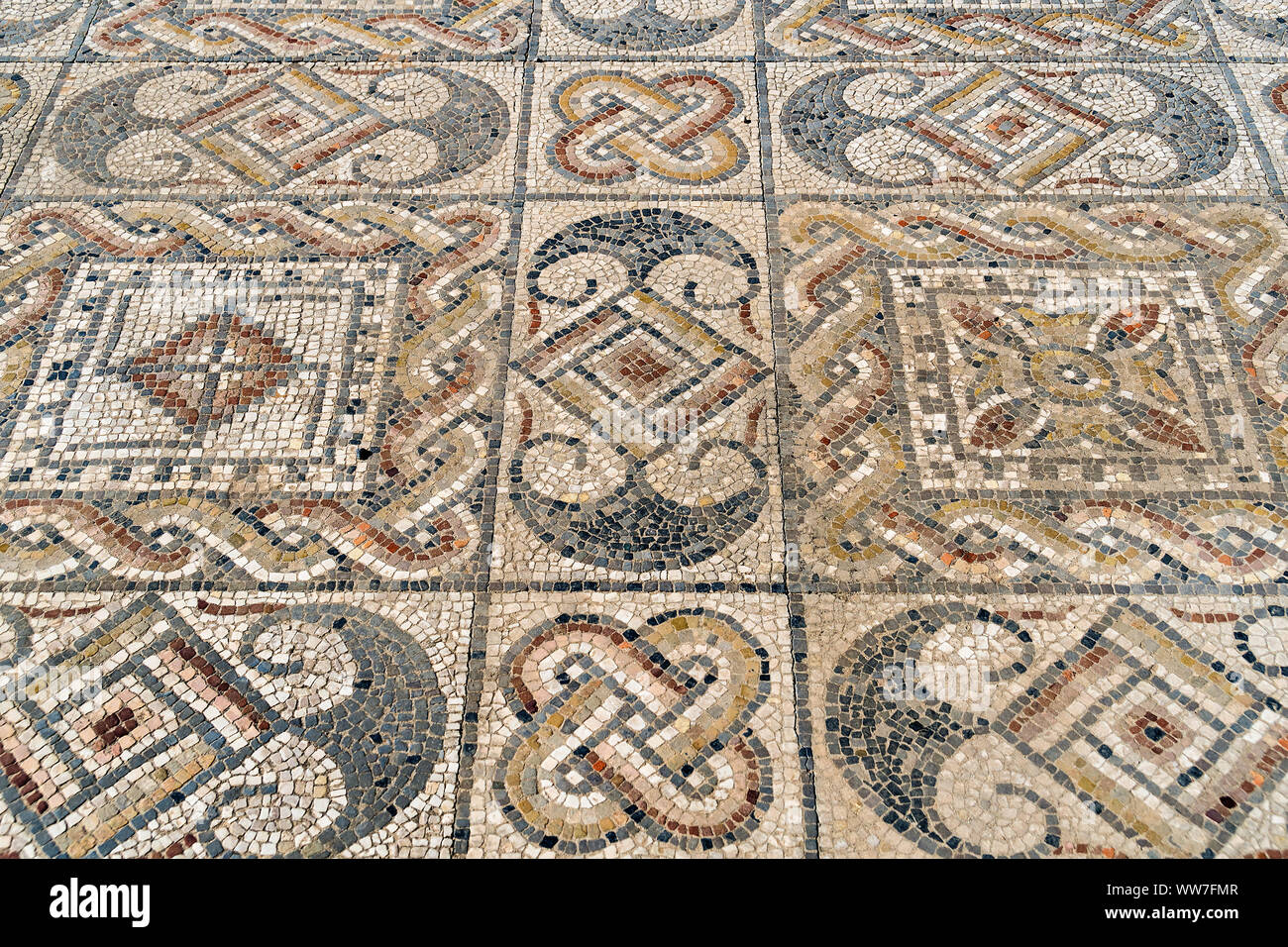 Il Marocco, Volubilis, antichi scavi romani, mosaico Foto Stock