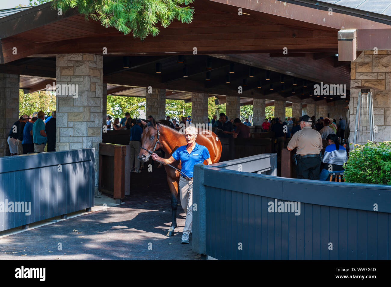 2019 Keeneland settembre un anno: vendita in Lexington Kentucky Foto Stock