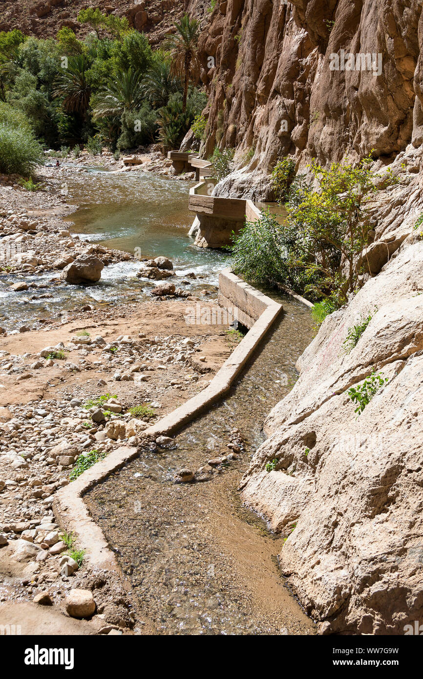 Il Marocco, Alto Atlante, Todra Gorge, estrazione di acqua Foto Stock