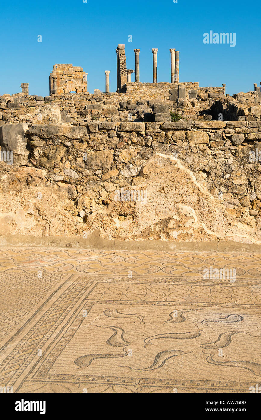 Il Marocco, Volubilis, antichi scavi romani, casa di Orfeo, mosaico Foto Stock