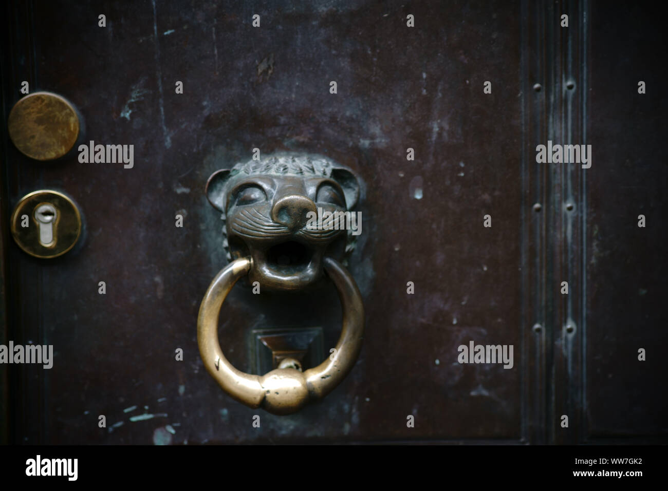Un usurato maniglia di metallo sagomata come un felino Predator's testa con una porta respingente su un arrugginito porta della chiesa, Foto Stock