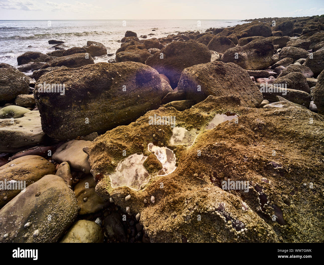 Massi su Covehurst Bay, la spiaggia per naturisti Area di straordinaria bellezza naturale sulla East Sussex costa dell'Inghilterra, Regno Unito, Europa Foto Stock