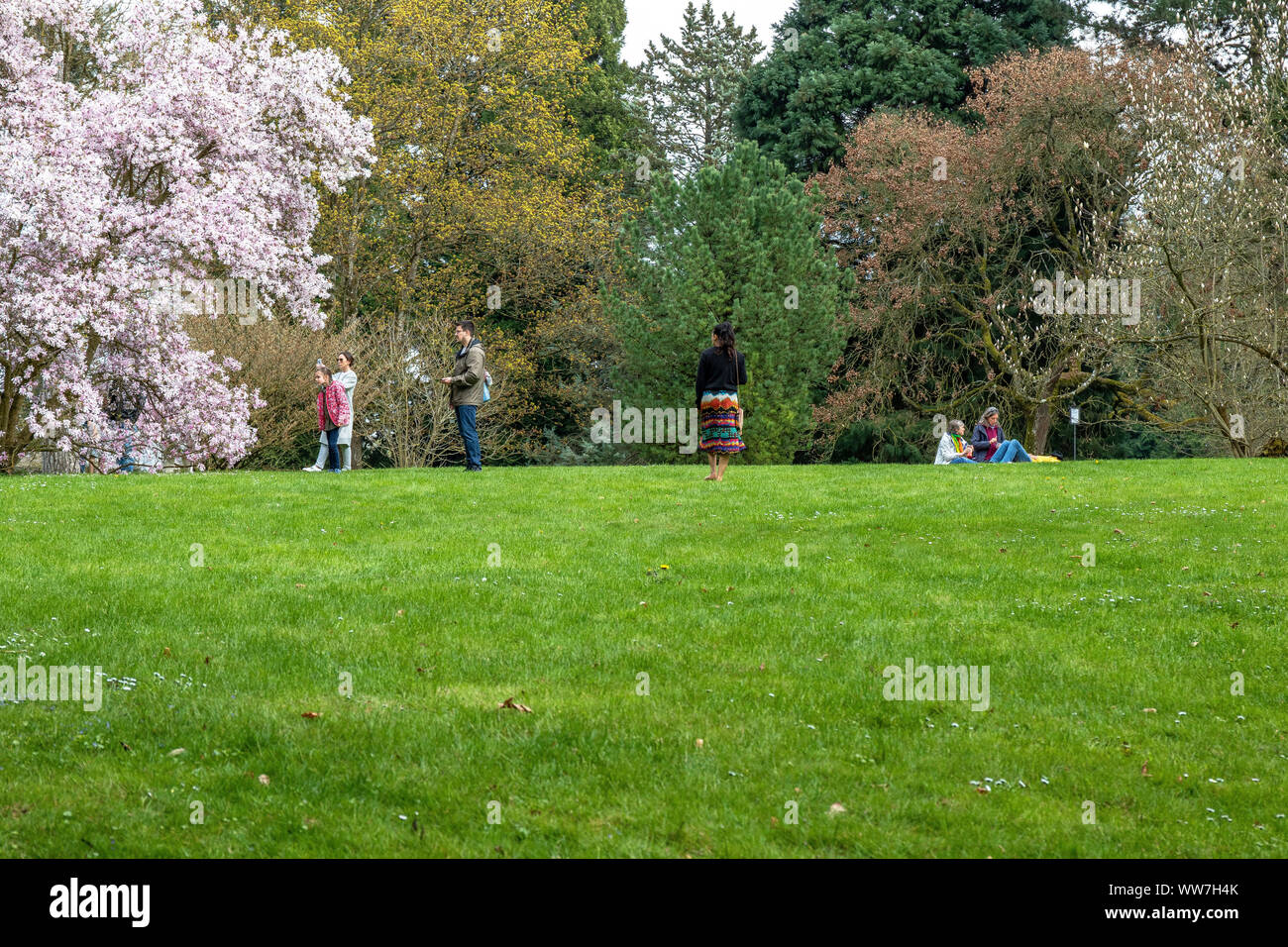 Germania Baden-Wuerttemberg, di Costanza e il Lago di Costanza - Isola di Mainau, i visitatori dell'isola floreale di Mainau ammirate una fioritura albero di magnolia Foto Stock