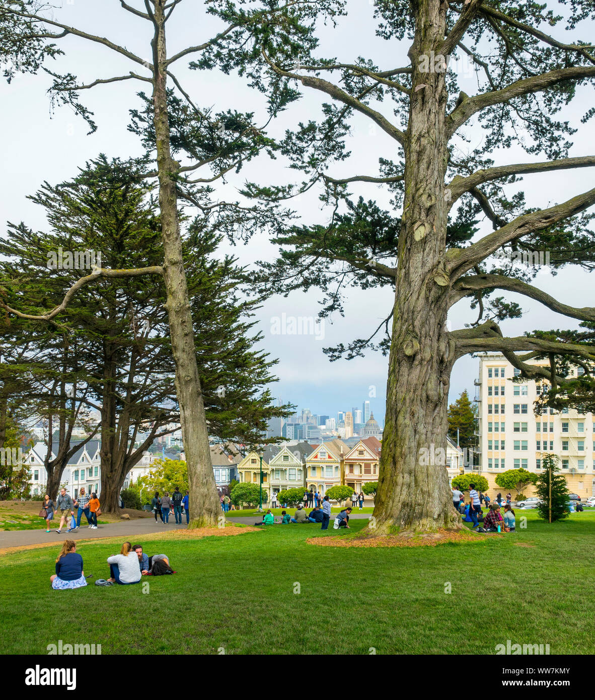 Stati Uniti, California, San Francisco County, Painted Ladies case in Steiner Street presso l'Alamo Square Park Foto Stock