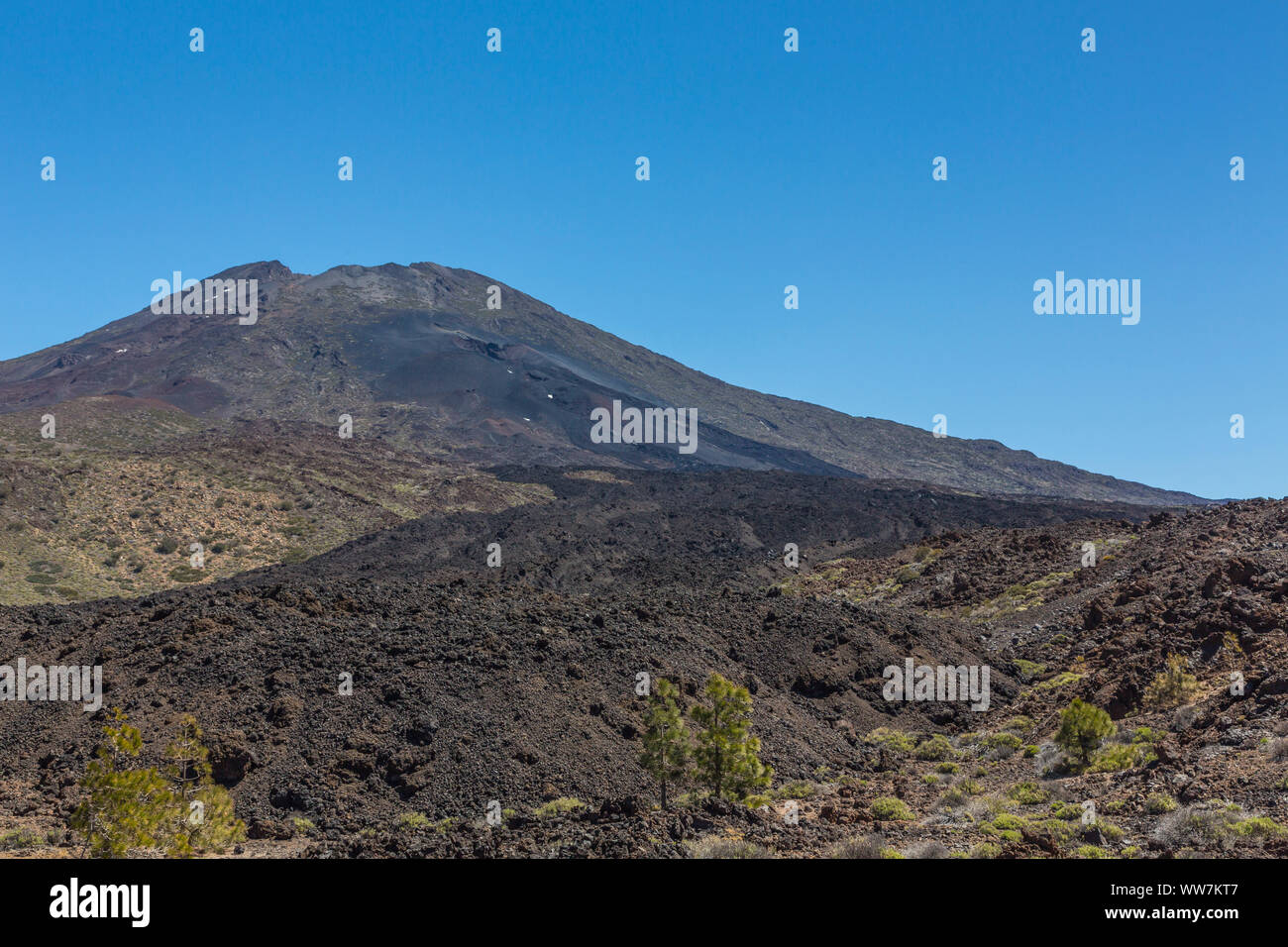 Vulcano Pico Viejo, 3135 m, panorama, vista da un punto di vista Las Narices del Teide, Parco Nazionale di Teide Patrimonio Mondiale UNESCO - Sito naturale, Tenerife, Isole Canarie, Spagna, Europa Foto Stock