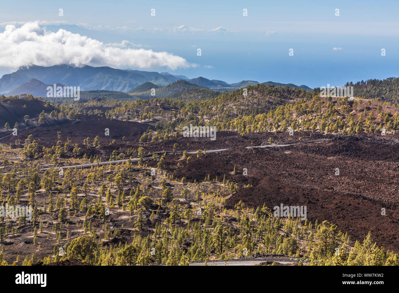 Paesaggio di lava, vista dal vulcano Samara, Las Canadas, Patrimonio Mondiale UNESCO - Sito Naturale, Parco Nazionale di Teide Tenerife, Isole Canarie, Spagna, Europa Foto Stock