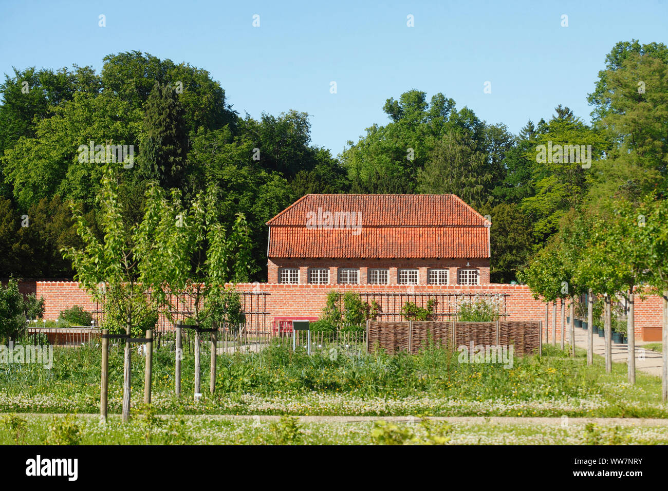 Orto con aranciera nel giardino del castello, Eutin, Schleswig-Holstein, Germania, Europa Foto Stock