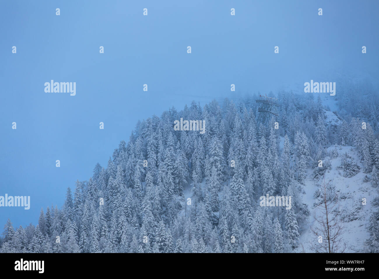 Cloud di ghiaccio sopra la foresta di conifere in montagna Foto Stock