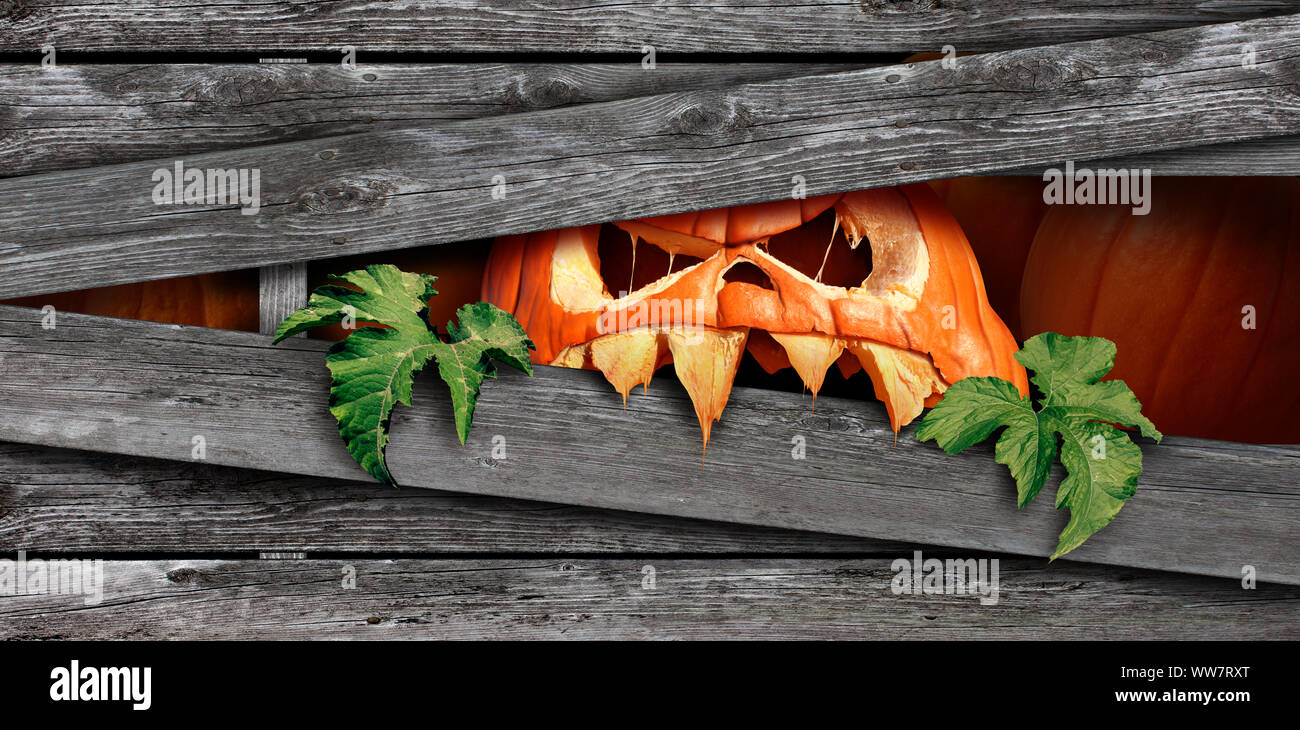 Creepy Zucca di Halloween mostro come jack o lantern carattere che è come un simbolo di halloween per un film horror e rituale stagionale. Foto Stock