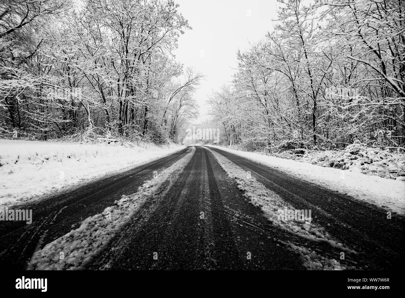 Strada invernale con neve sul terreno. viaggiare in modo difficile per godere della stagione fredda. immagine bianca con asfalto nero in contrasto. unità e concetto di viaggio Foto Stock