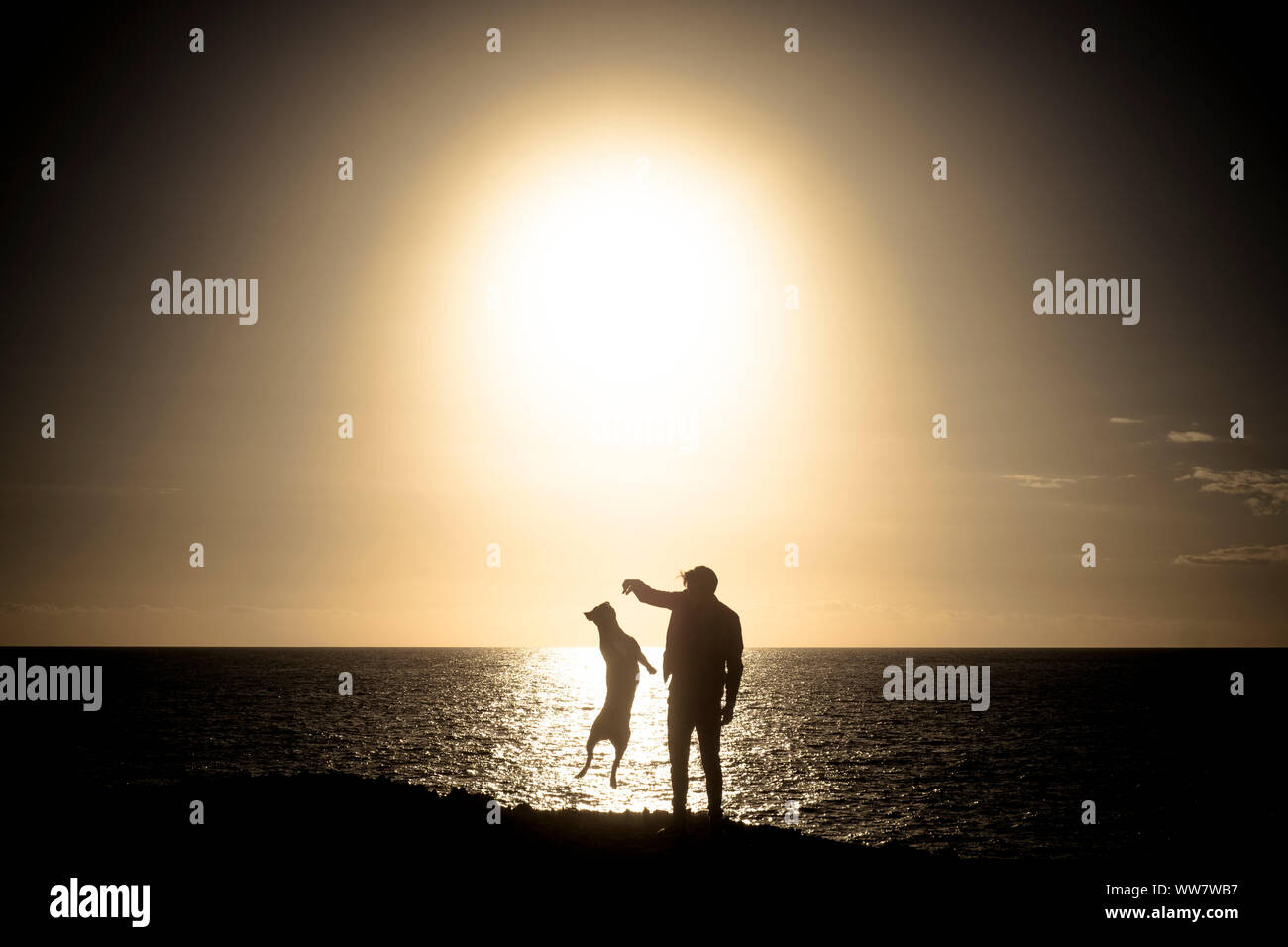 Uomo e cane giocare insieme jumpng e divertimento nel tempo libero attività durante un tramonto colorato in background. amicizia e godersi la vita con amore animali Foto Stock