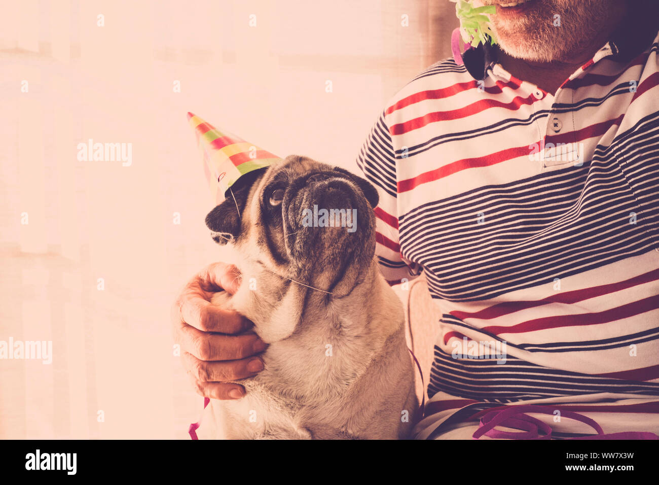 Pug cucciolo con party hat si siede vicino senior e guarda a lui Foto Stock