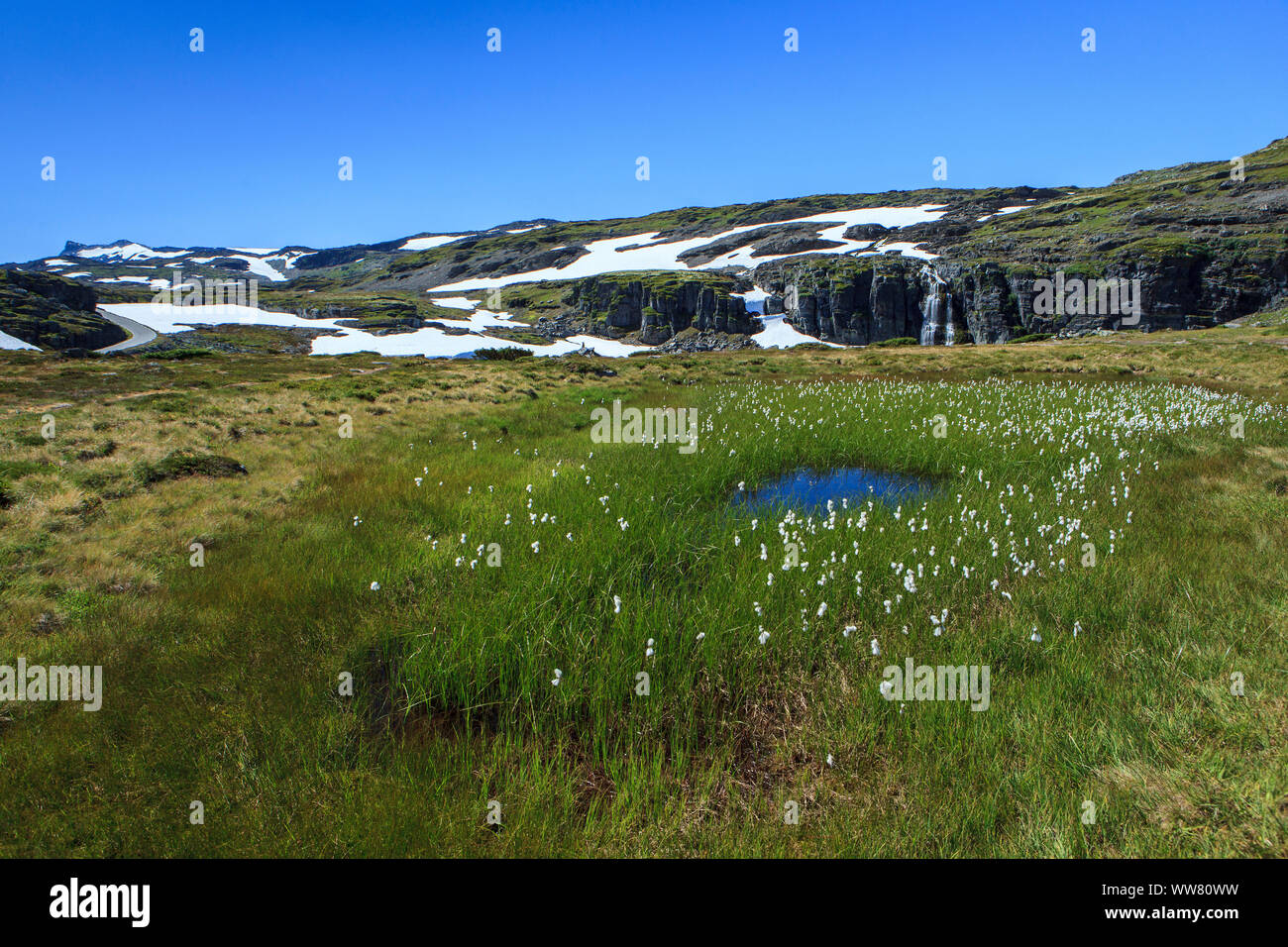 Bjorgavegen, Norvegia Vedahaugane, BjÃ'rgavegen Foto Stock