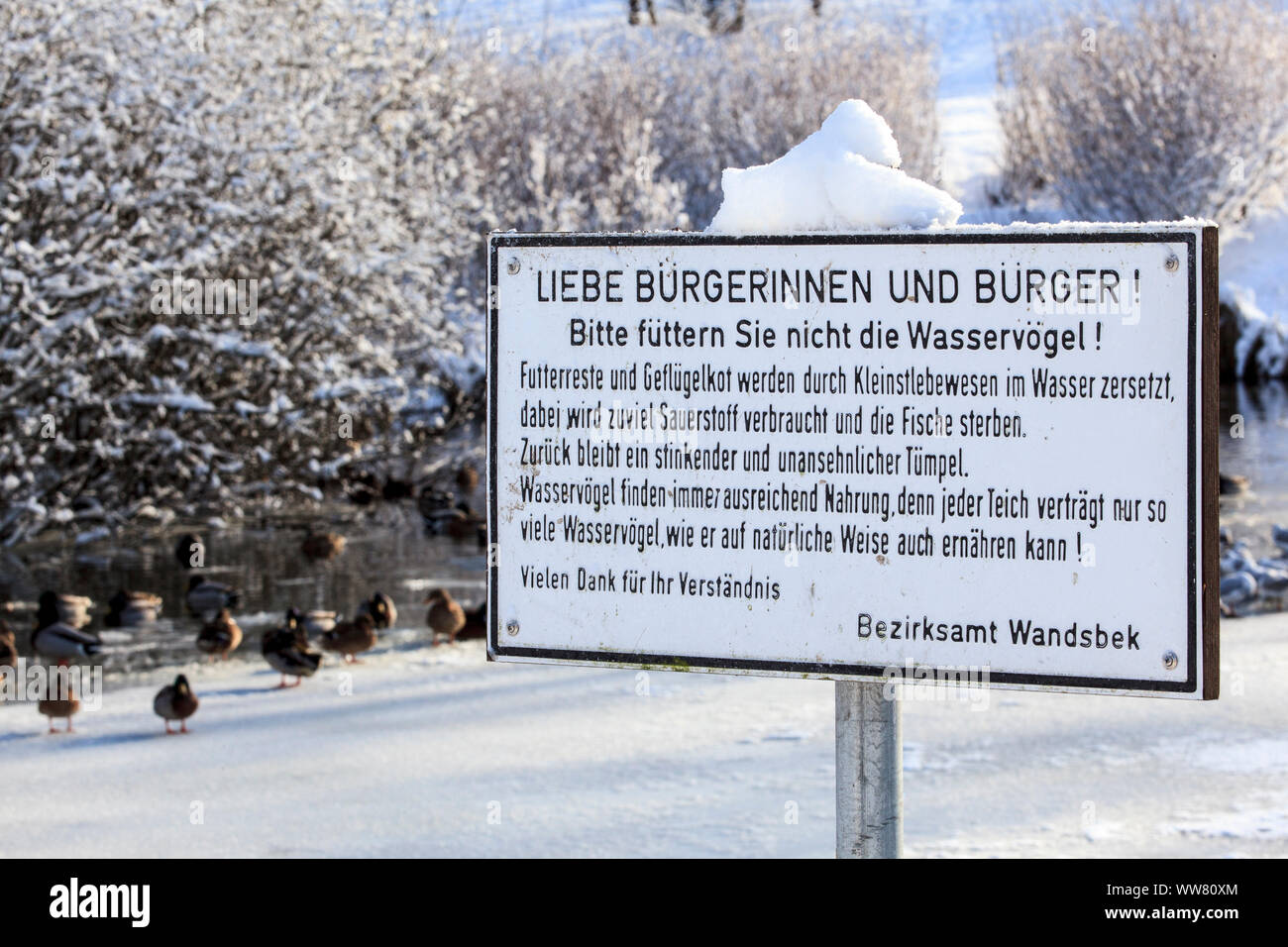 Info segno per il parco i visitatori ad Amburgo, Germania, Europa Foto Stock