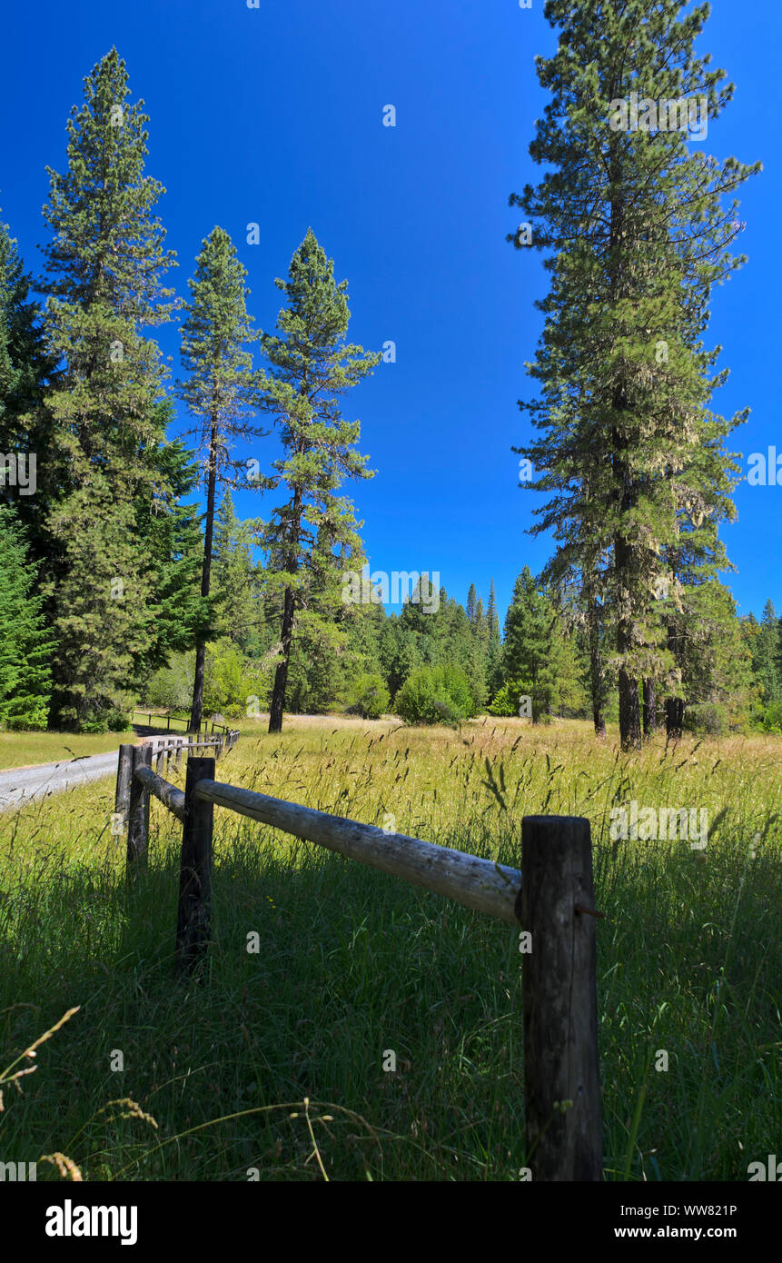 Una strada di ghiaia passa attraverso una storica ranch a valle Briggs Recreation Area, in Rogue River-Siskiyou foresta nazionale, nei pressi di Medford, Oregon Foto Stock