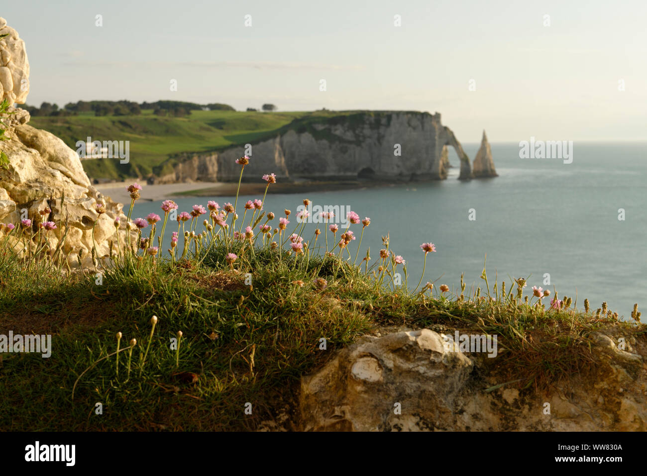 Vista la roccia ago L' Aiguille e Falaise d'Aval con Porte d'Aval nella luce della sera, Seine-Maritime, Etretat, Normandia, Francia Foto Stock