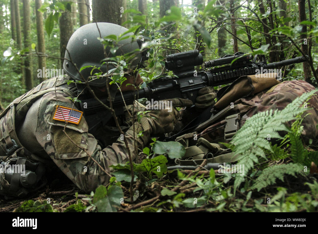 Stati Uniti Soldato dell'esercito da 106ª Cav. Reggimento xxxiii della brigata di fanteria combattere la squadra, Illinois Guardia Nazionale sondaggi il suo settore mentre in una posizione difensiva a Oyanohara Area Formazione, Giappone, Sett. 12, 2019. OS 19 è un priemier U.S. Esercito e Giappone terra Forza di Autodifesa bilaterale di formazione sul campo di esercizio che è destinato ad aumentare l'interoperabilità da testare e perfezionare il multi-dominio e cross-domain concetti.(STATI UNITI Foto dell'esercito da Staff Sgt. Giacobbe Kohrs, ventesimo PAD) Foto Stock