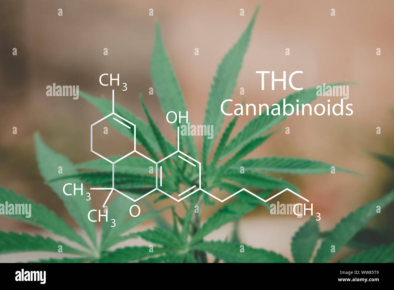 CBD Formula Strutturale, Cannabis industria, la coltivazione di marijuana, Ph Foto Stock