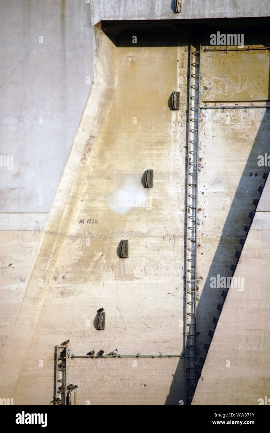 Gli uccelli seduti nelle nicchie delle pareti in calcestruzzo di una torre di uno stramazzo Foto Stock