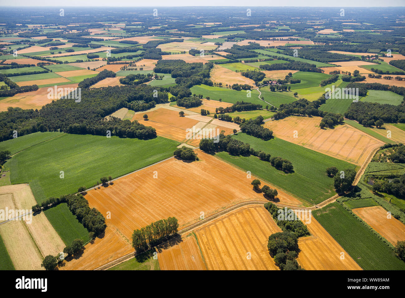 Vista aerea, panoramica da Brock direzione BrÃ¼skenheide, Brock, Ostbevern, MÃ¼nsterland, Renania settentrionale-Vestfalia, Germania, Europa Foto Stock