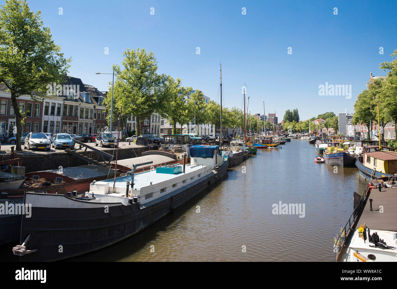 Paesi Bassi, Groningen, in vista di un canale Foto Stock