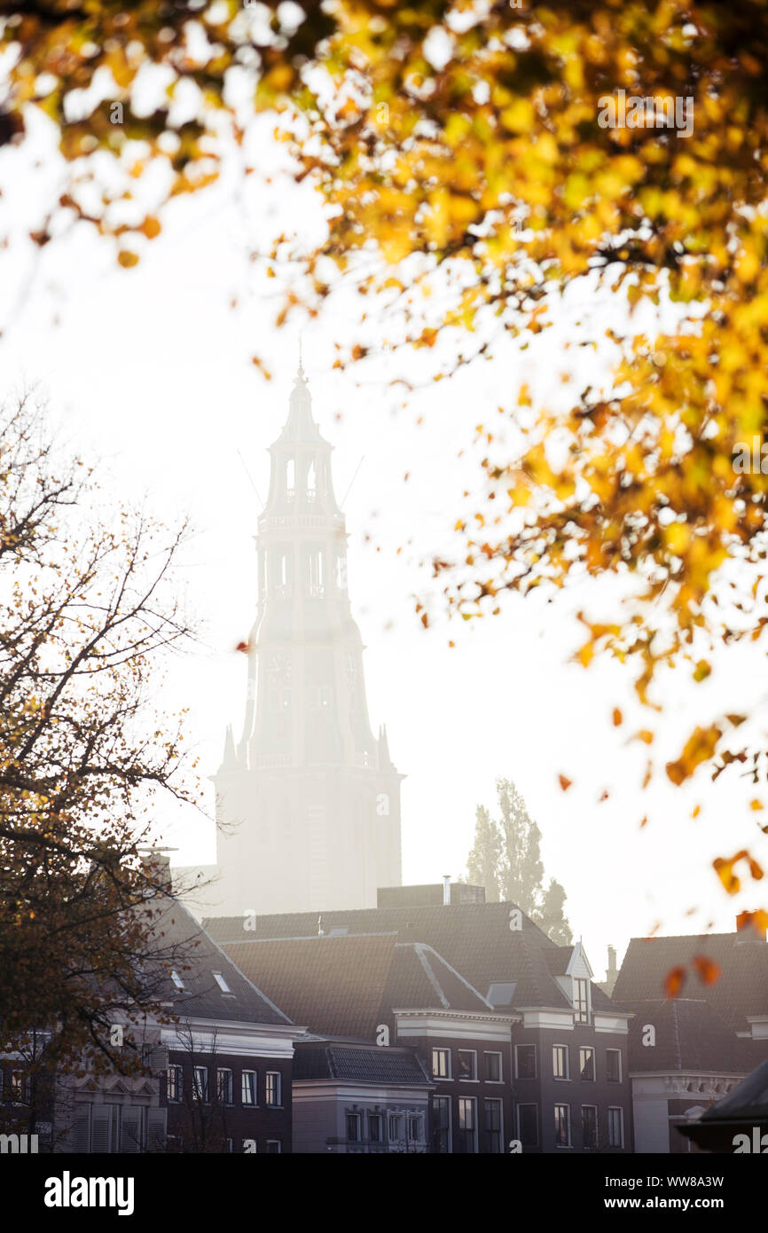 Paesi Bassi, Groningen, vista del Aa-Kerk attraverso foglie di autunno Foto Stock